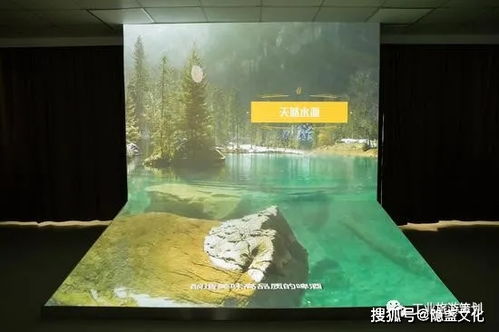 雙倍一番榨 麒麟啤酒觀光工廠的沉浸之旅